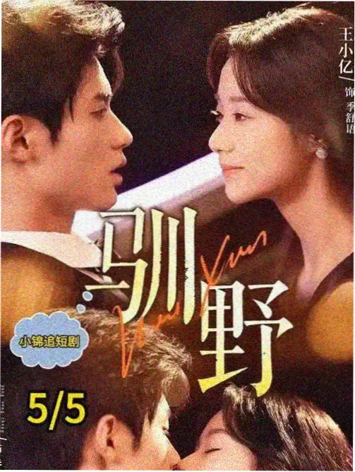 雨季追踪者剧集海报